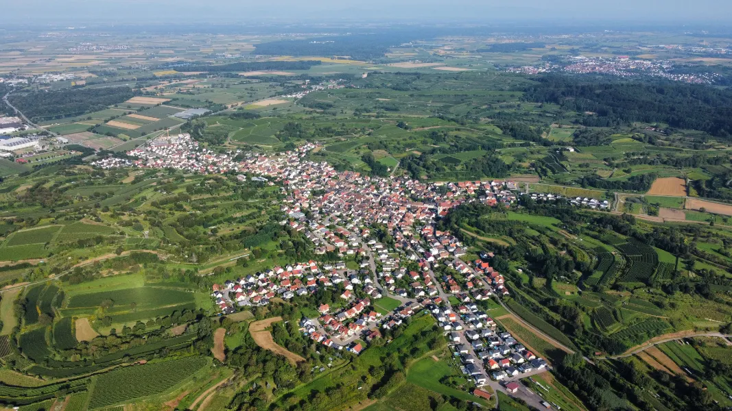 Einblick 2