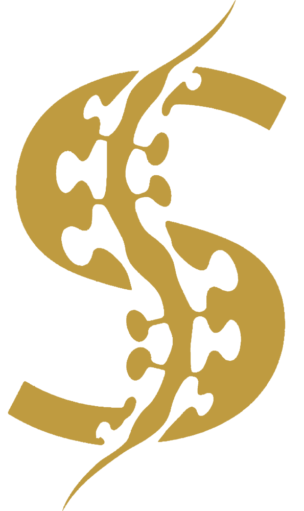 S Logo